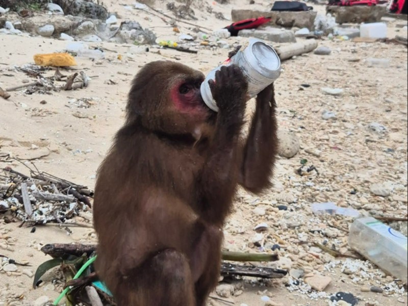 Your Guide to Cat Ba, Ha Long Bay, and&nbsp;Hanoi