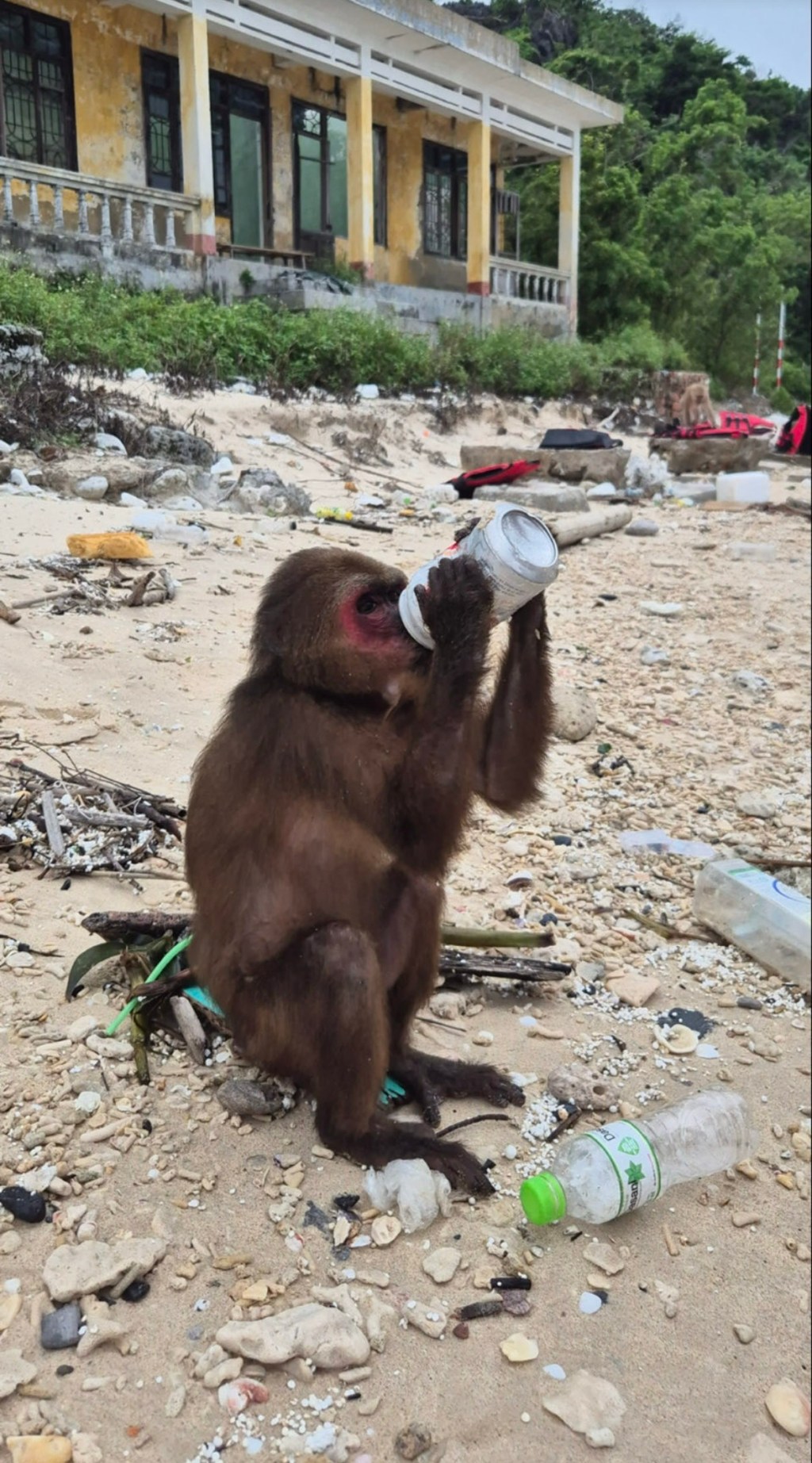Your Guide to Cat Ba, Ha Long Bay, and&nbsp;Hanoi